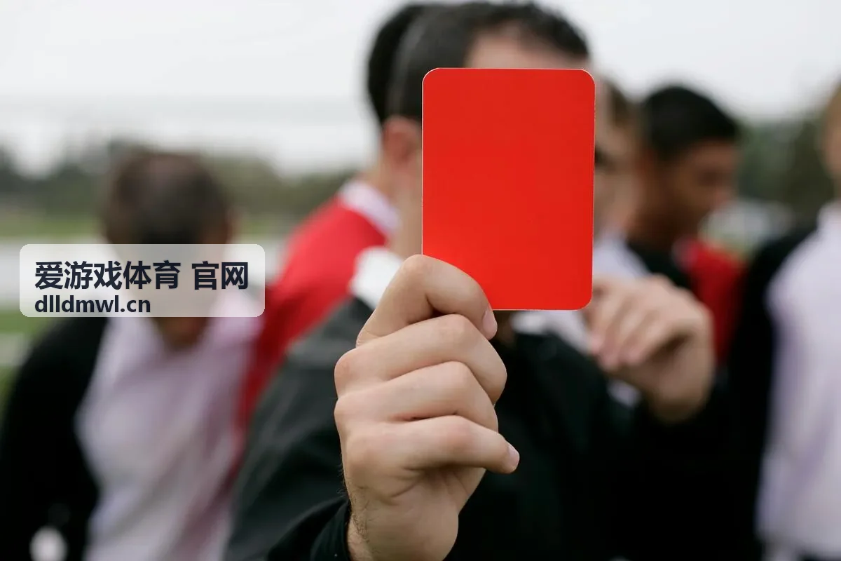 爱游戏体育 官网赛季阶段性专题封面